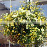 Hanging Flower Pot Garden Hanging Pot SL-Y060 Hanging Ball Planter thumbnail-6