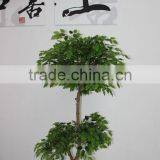 2016 Hot Sale Banyan Tree,Wholesale Artificial Decorative Tree thumbnail-2