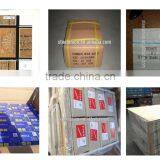 Common Nails/iron Nails/wire Nails thumbnail-6