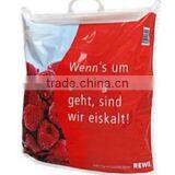 Aluminium Foil Cooler Bag for Food in 2013 thumbnail-1