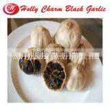 High Quality Peeled Black Gralic thumbnail-5