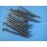 Common Nail FACTORY