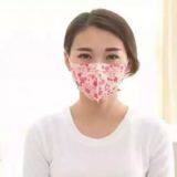 N95 Folding Butterfly Face Mask
