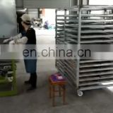 High Quality Automatic  Cashew Nut Roasting Machine Processing Line