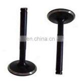 S4s Hot Sale 23-8n Aftermarket for Mitsubishi 6DB1 6D14 8DC9 S6S W06D 3KC1 3LD1 4BD1 4BG1 4JB1 C240 Nitride Engine Valves thumbnail-6