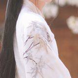 Chinese Traditional Dress Hanfu Chinese Traditional Clothing thumbnail-1