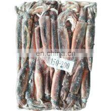 China Frozen Illex Squid Argentina Illex Squid Price 100-150 150-200 200-300 thumbnail-1
