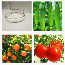 Factory Supply Agricultural Grade Foliar Fertilizer Natca 98%tc Powder Natca for Fruit Setting thumbnail-2
