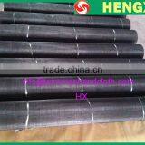 Mild Steel Wire Mesh