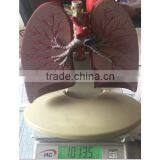 Simulation Model for Medical Research and Students Learning thumbnail-2