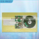 Electronic Voice Sound Module for Greeting Card thumbnail-1