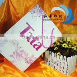 High Quality Shopping or Gift Packaging Bag Carry Bag