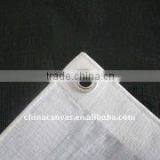 Eyelet pe Tarpaulin thumbnail-1