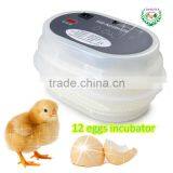 Hot Sale !!! High Quality Electric Mini Chicken Egg Incubator JN12 Egg Hatching Machine Price/ 12 Egg Hatchers thumbnail-1