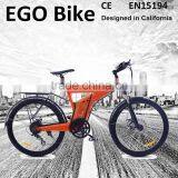 Flyer Cheap but Good electric bicycle with high quality