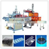 SP510/580 Plastic Ampoule Trays Thermoforming Machine, egg tray machine