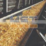 Conveyor Belts for Wood Used