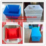 PP Plastic Coroplast Box/container/tray/carton/shelf Bin for Storage Packing and Shipping