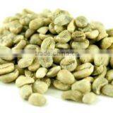 Arabica Coffee Bean