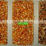 2016 Hot Sell With 5000+pixel Small Color Sorter thumbnail-4