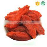 Dried Goji Berry thumbnail-1