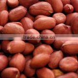 Red Skin Peanuts 50/60 40/50/blanched Peanuts/peanut in Shell thumbnail-3