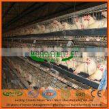 Poultry Farming Chicken Cage System thumbnail-1