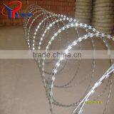 Hot Dipped Galvanized Razor Blade Wire Fencing thumbnail-5