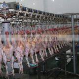 High Quality Broiler Chicken Slaughter /poultry Processing Machine/poultry Slaughter Line 008618052092685 thumbnail-1