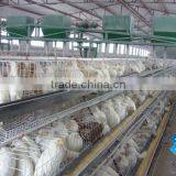 Chicken Cages/layer Chicken Cage thumbnail-3