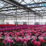 Greenhouse for Growing Flowers thumbnail-4