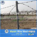 Widely Used Razor Barbed Wire thumbnail-3