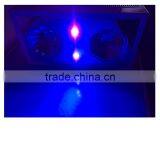 UV Light Lamp Malaysia Greenhouse Horticulture Used LED Grow Light thumbnail-5