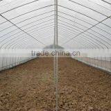 High Cost Performance Pop up Tunnel Agricultural Greenhouse thumbnail-5