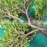 Home Garden Decoration 50cm to 160 cm Hight Small Indoor Canadian Artificial Green Pot Plastic Similar Pine Trees ELSPZ02 0904 thumbnail-5