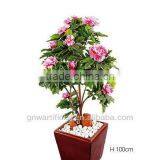 Ficus Microcarpa Bonsai Bonsai Tree Indoor Plant GNW G142 thumbnail-2