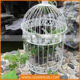 Pet Product Metal Hot Sales Bird Cage Decor thumbnail-1