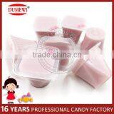 Fruit Yogurt Flavor Nata De Coco Jelly Pudding Cup thumbnail-3
