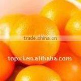 Perfume Sweet Orange Oil Fragrance thumbnail-2