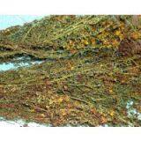 Offer St. John's Wort Extract Extra thumbnail-3