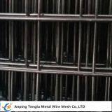Black Welded Wire Mesh