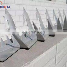 Coil Nail thumbnail-3