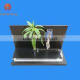 Plant's Transpiration