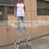 EMJ Ladder A-Frame Telescopic Ladder 2.2m+2.2m Straight Ladder 4.4m