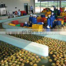 Shanghai Pineapple Peeling Machine thumbnail-3
