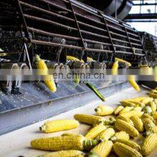 Industrial Sweet Corn Processing Line Include Threshing Blanching Washing Dewatering Air Drying Machine thumbnail-3