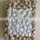 Dried Tea Flower Mushrooms thumbnail-6