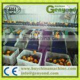 horizontal fruit grading machine