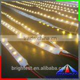 Led Flexible Strip Light/Led Strip 3528/5050 Rgb/ Led Strip Waterproof IP68 Strip