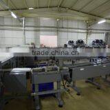 Automatic Packing Line thumbnail-1